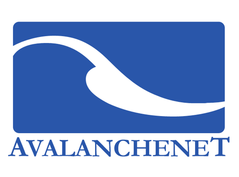 AvalancheNet